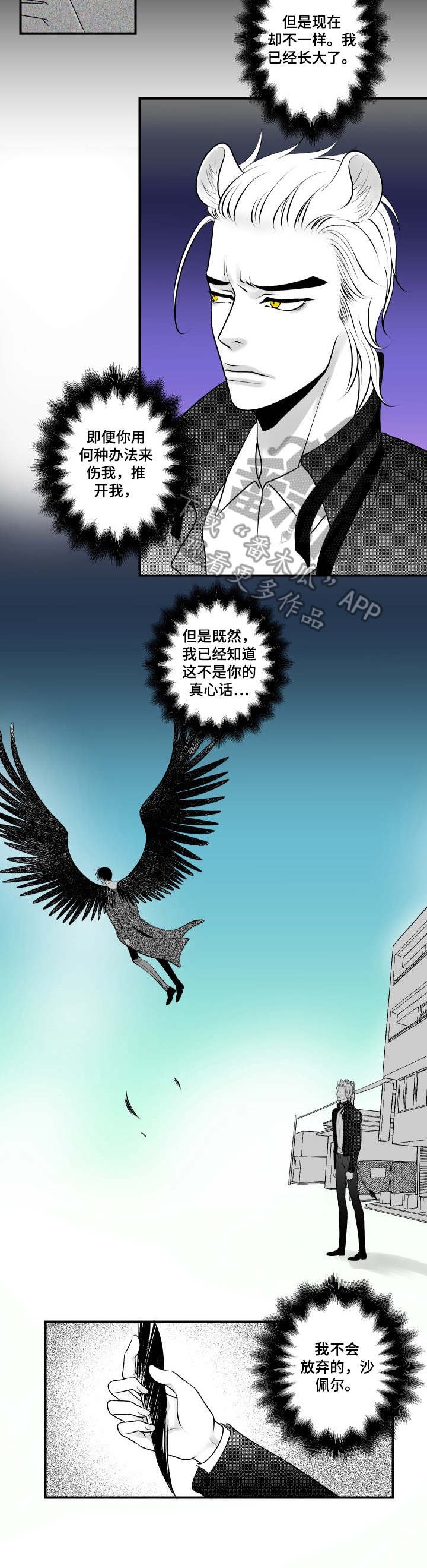 第19章：小动作