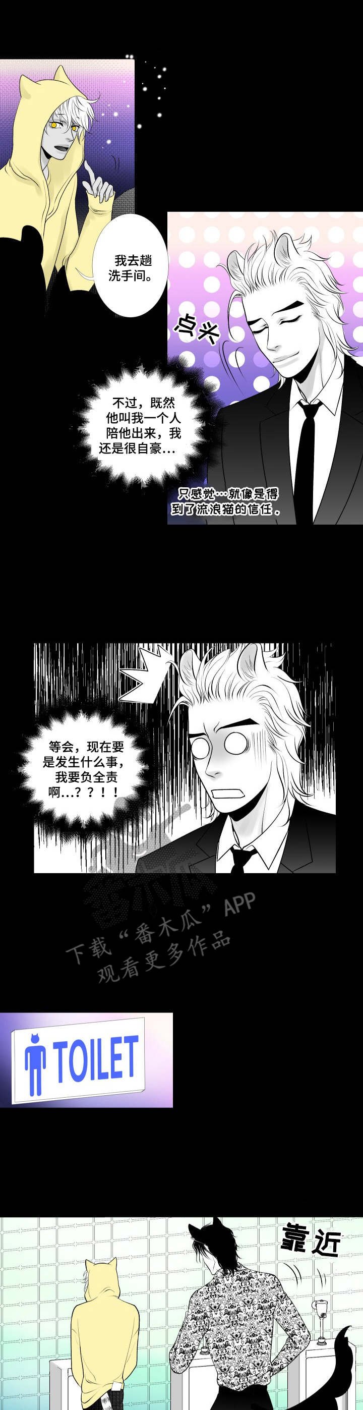 第20章：暗杀