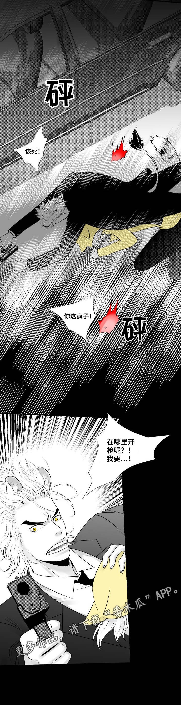 第20章：暗杀