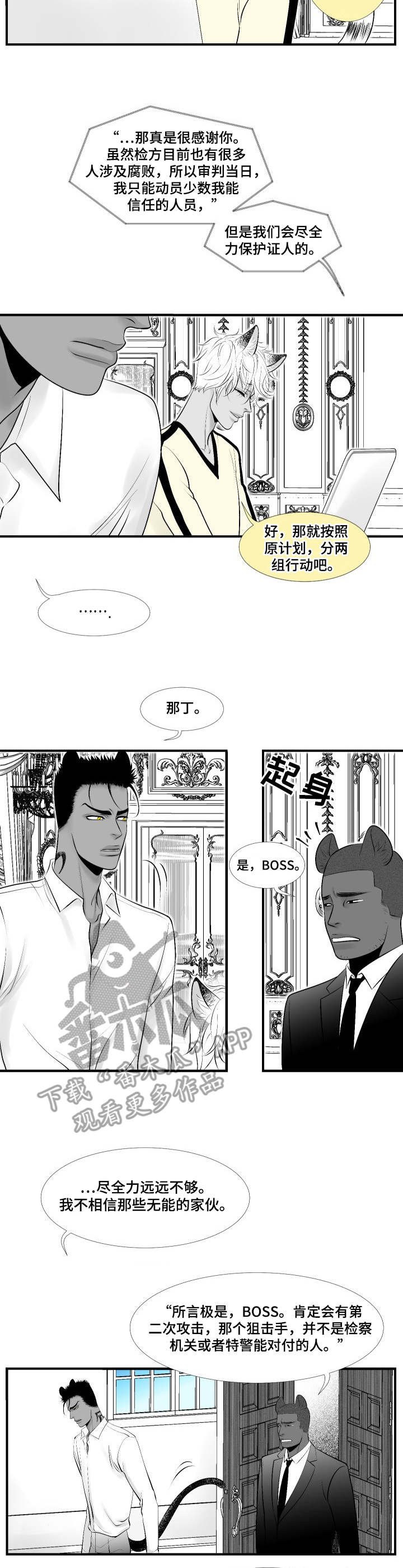 第23章：行动开始