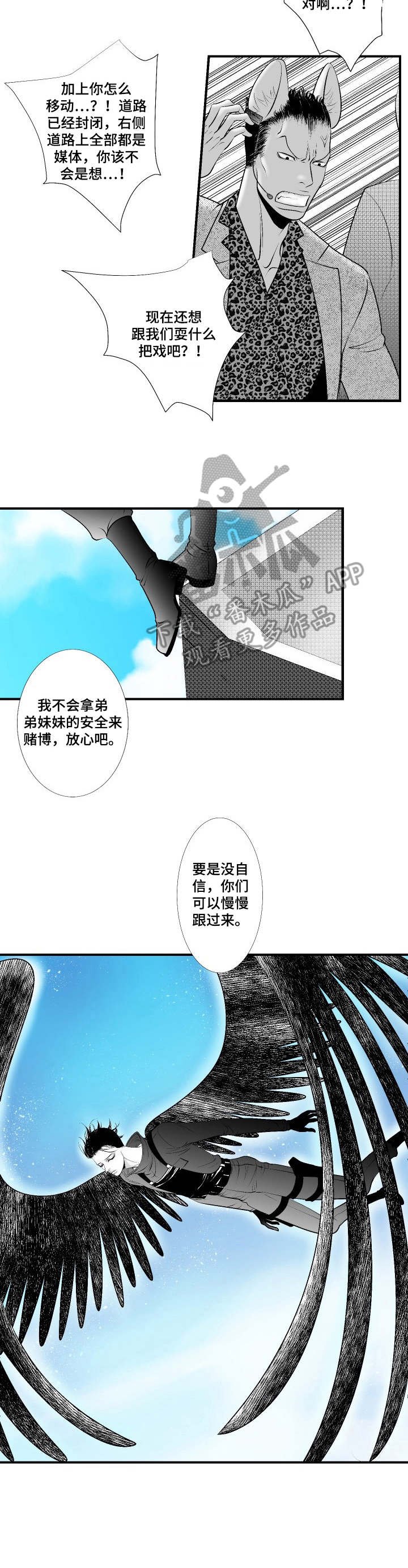第23章：行动开始