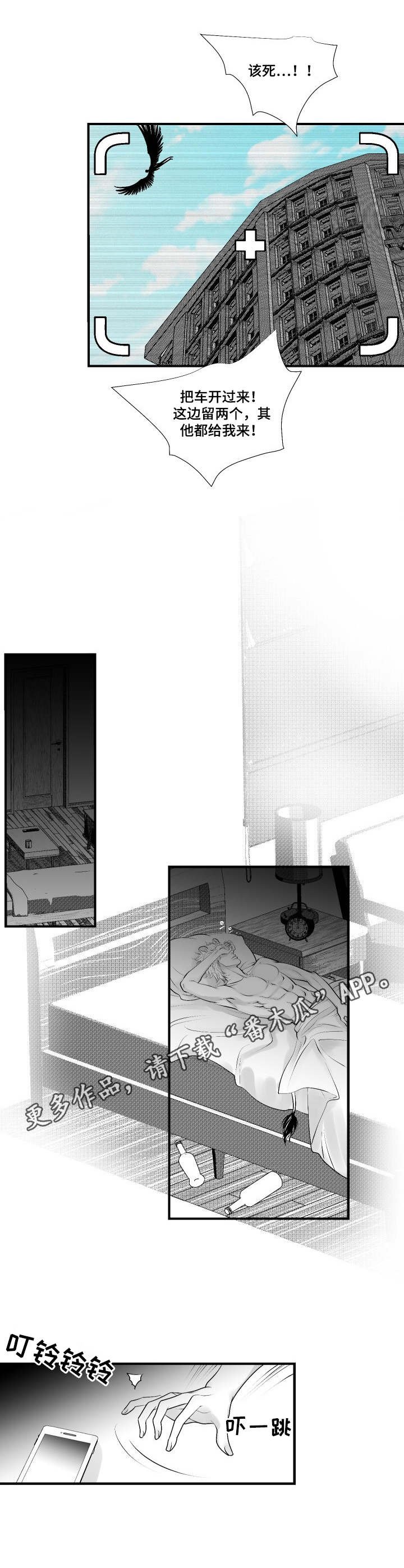 第23章：行动开始
