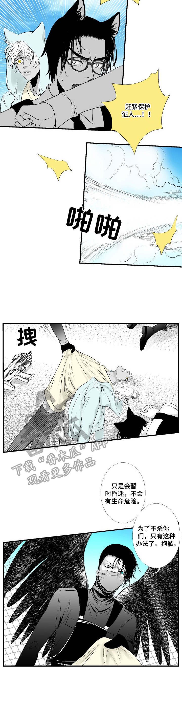 第23章：行动开始