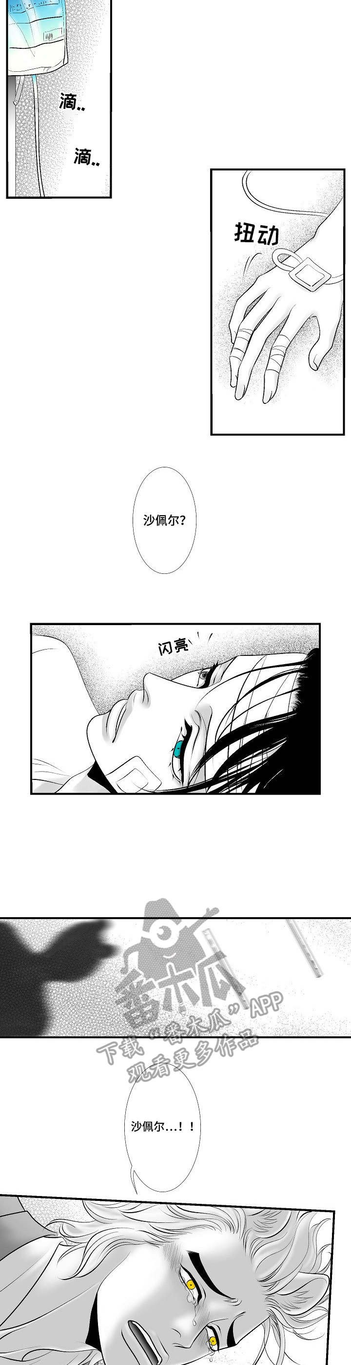 第26章：尘埃落定
