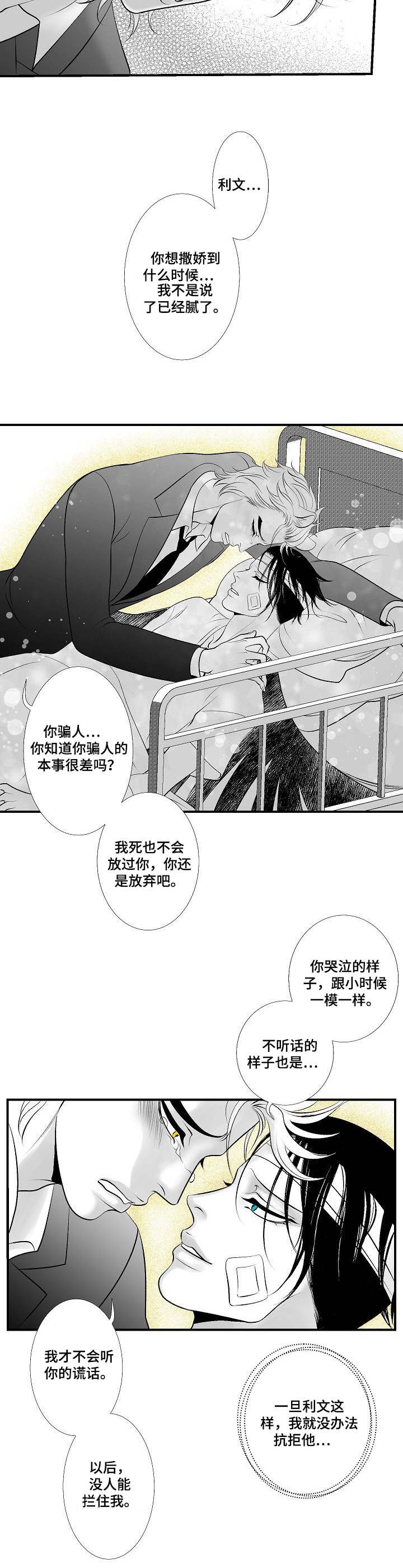 第26章：尘埃落定