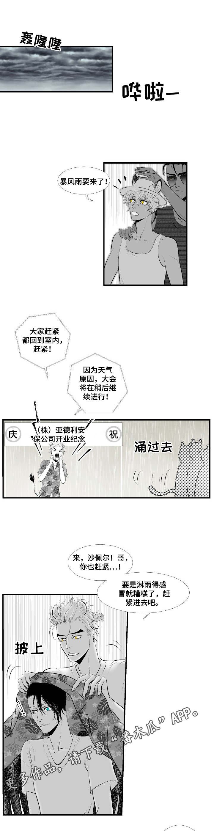 第26章：尘埃落定