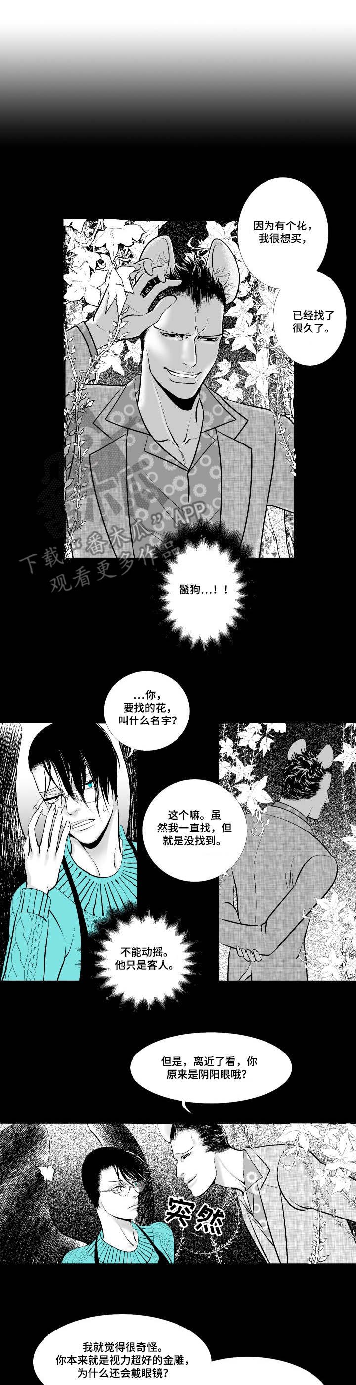 第7章：鬣狗
