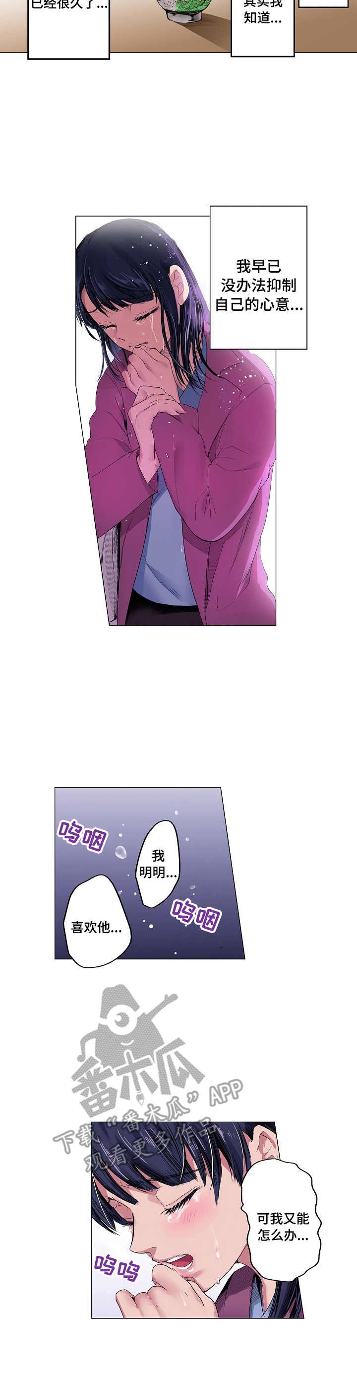 第15章：简单的话语