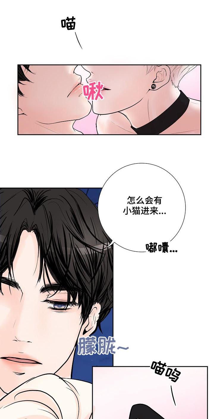 第35章：小猫