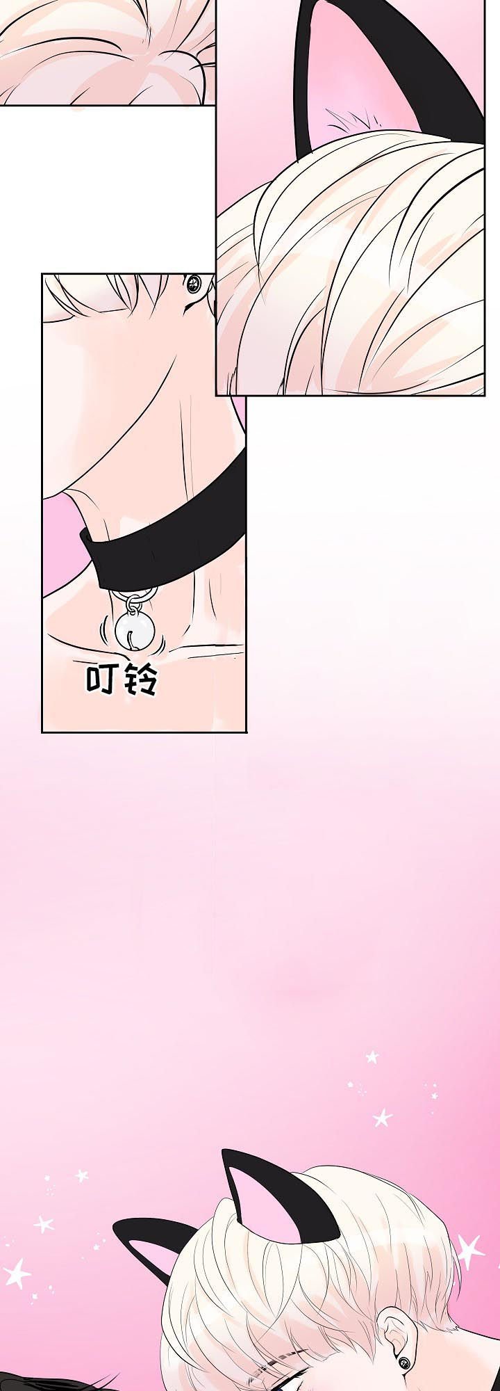 第35章：小猫