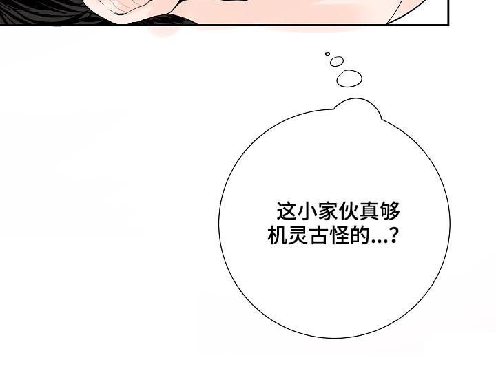 第35章：小猫
