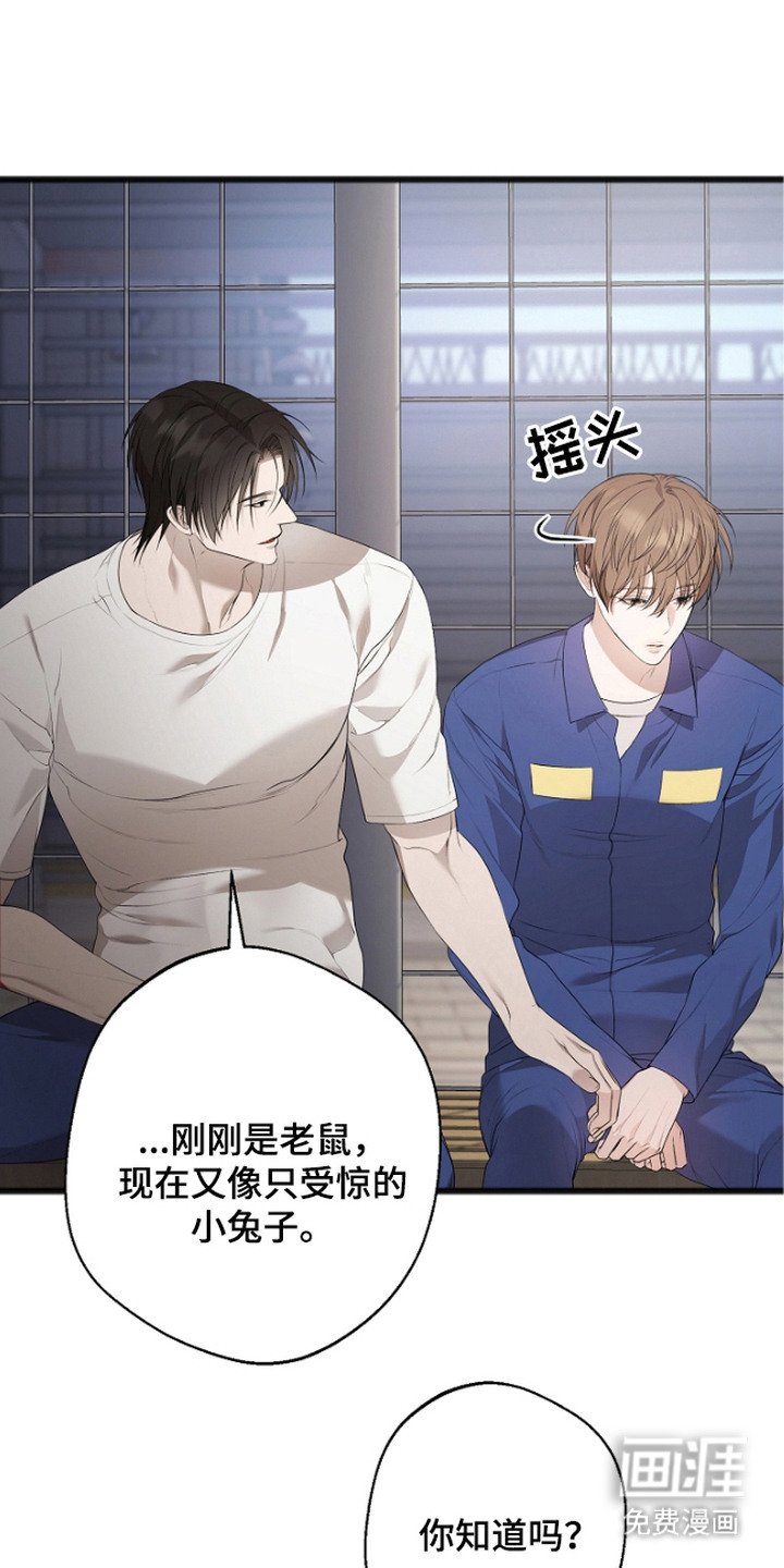 第10章：放风时间