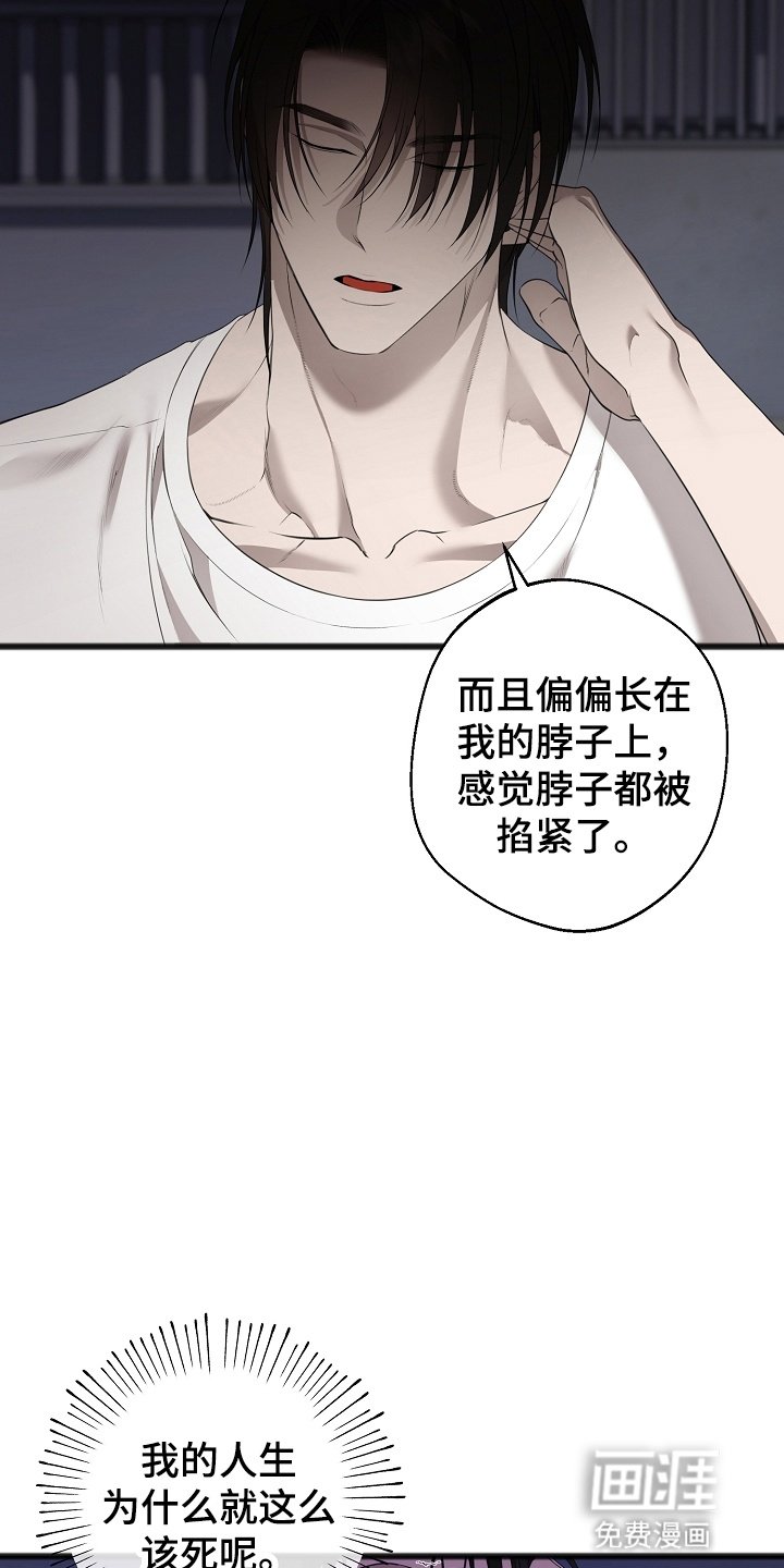 第14章：他的名字