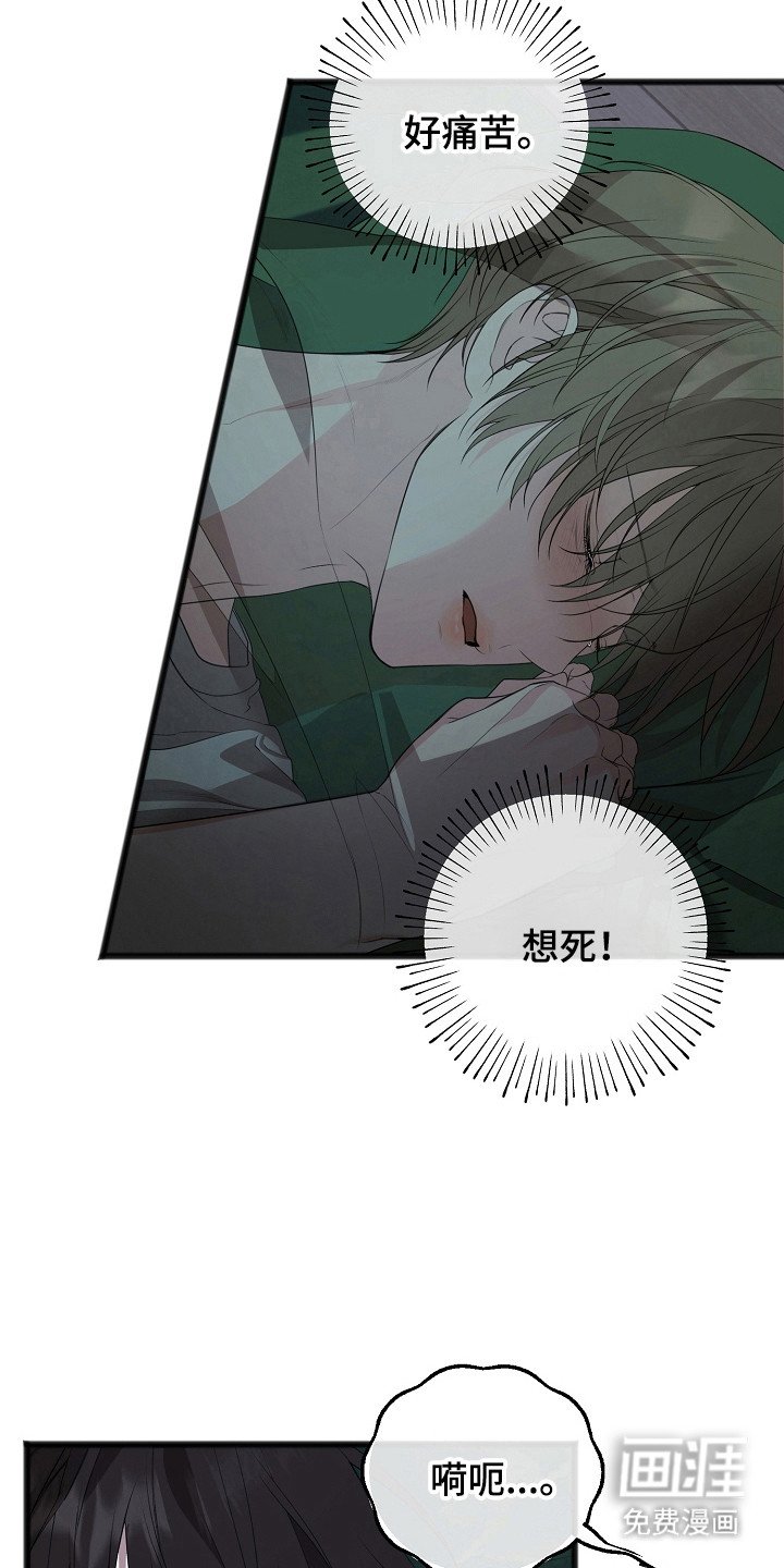 第15章：痛苦