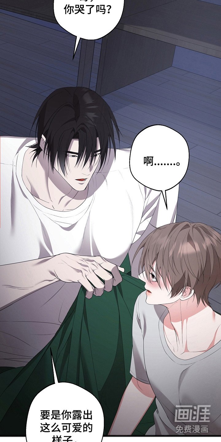 第16章：轻声安慰