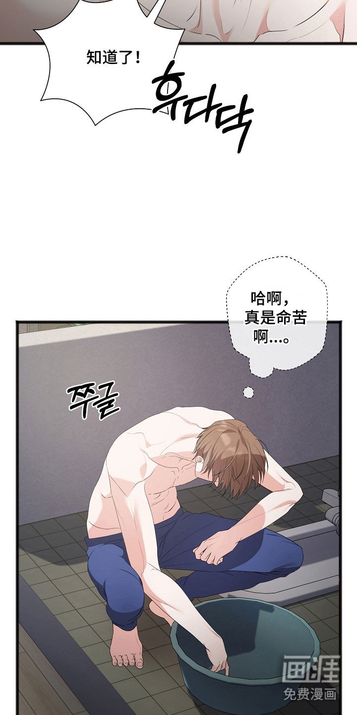 第19章：洗头