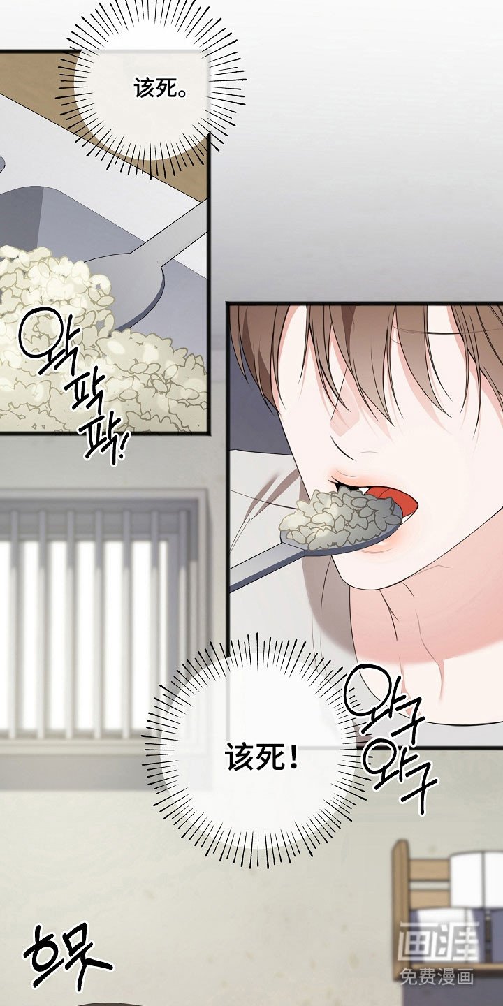 第20章：出门放风