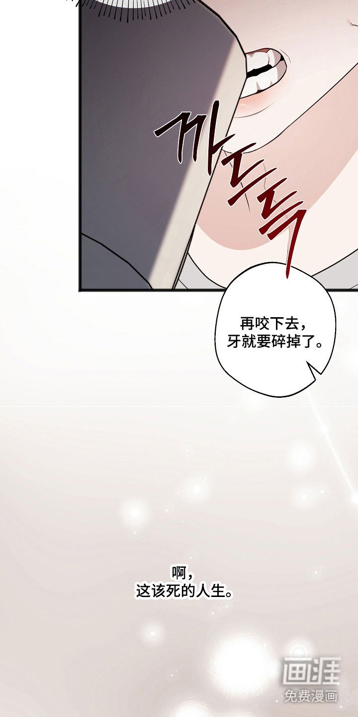 第28章：回忆岁月
