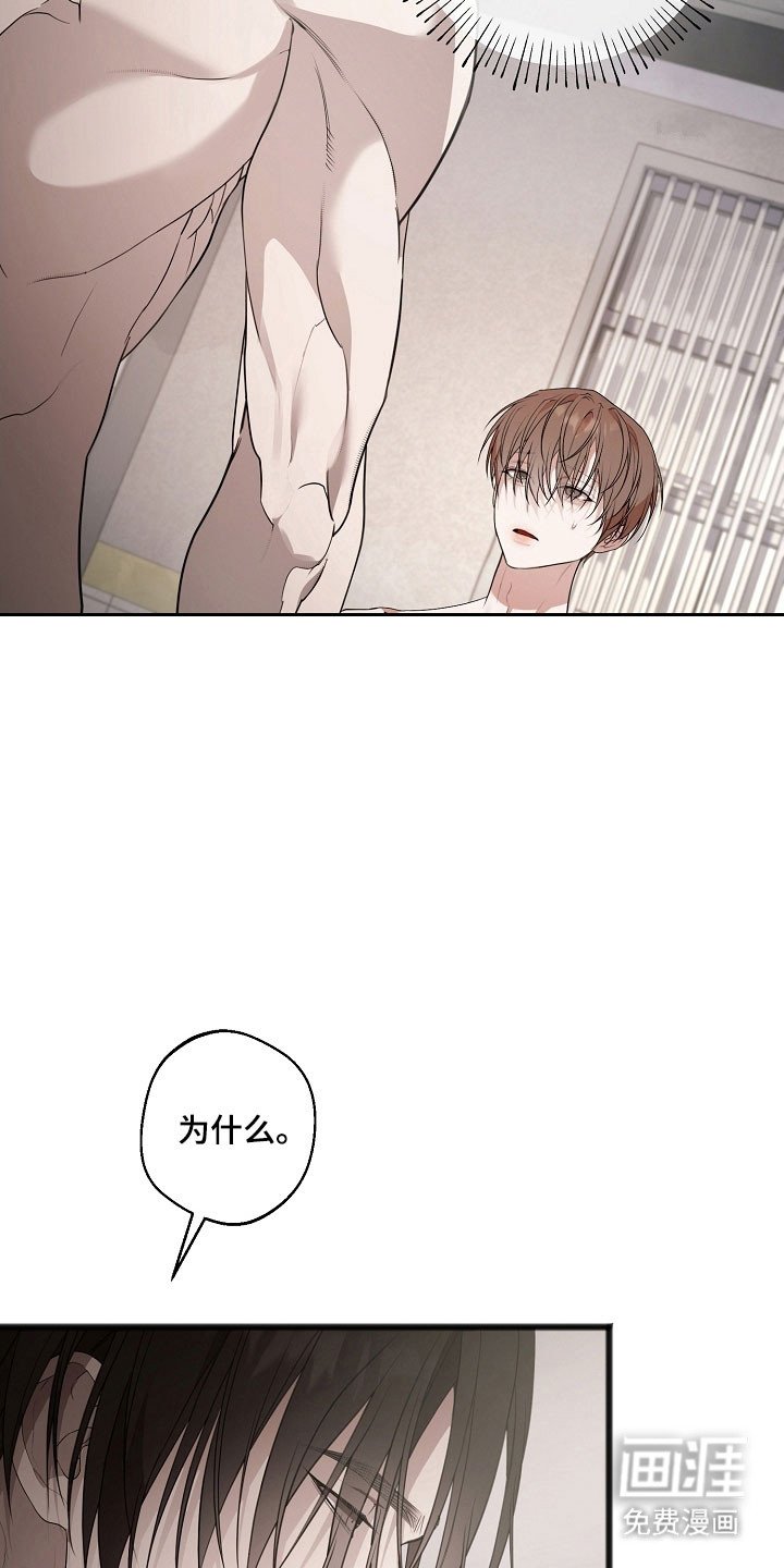 第28章：回忆岁月