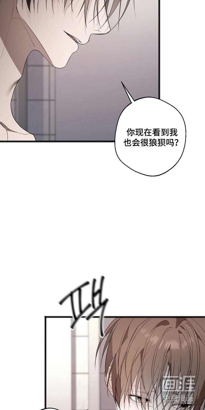 第28章：回忆岁月