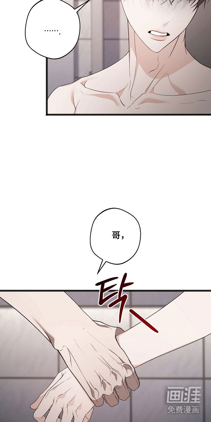 第28章：回忆岁月