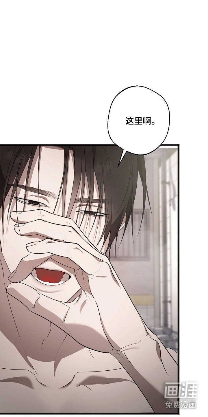 第28章：回忆岁月