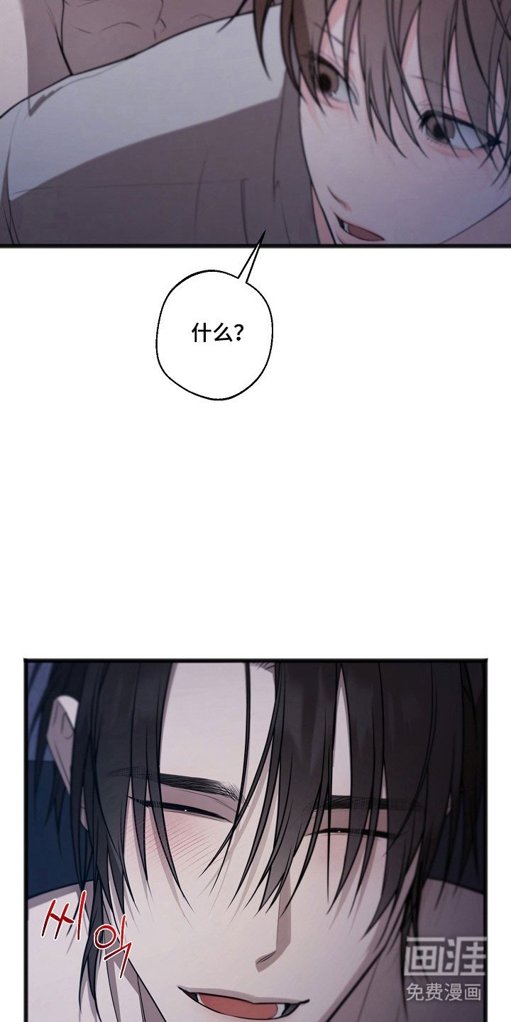 第31章：就是陷阱