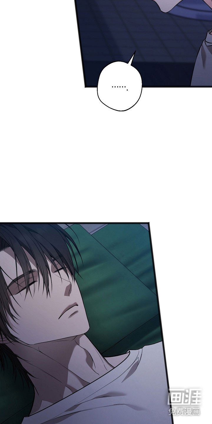 第34章：特别感情