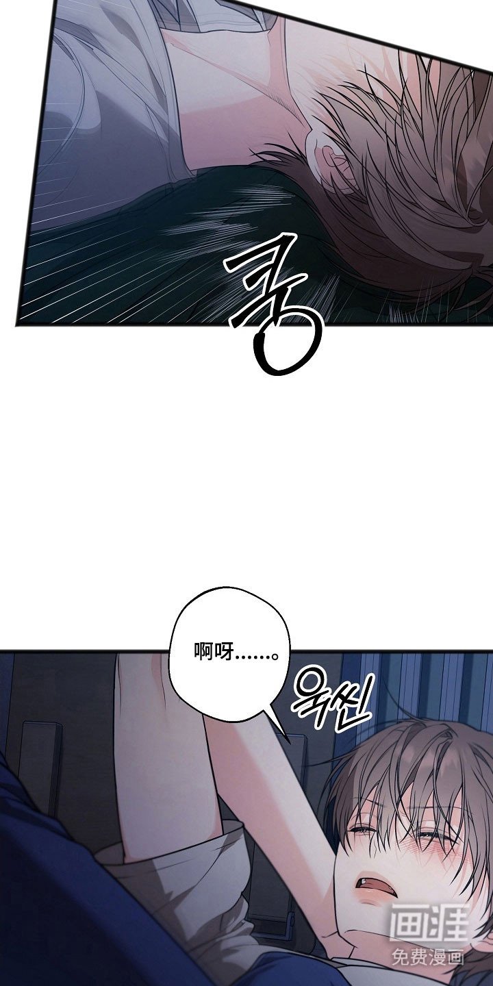 第34章：特别感情