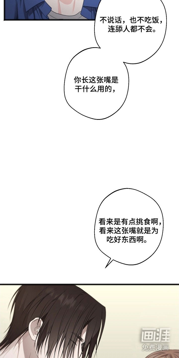 第37章：背地密谋