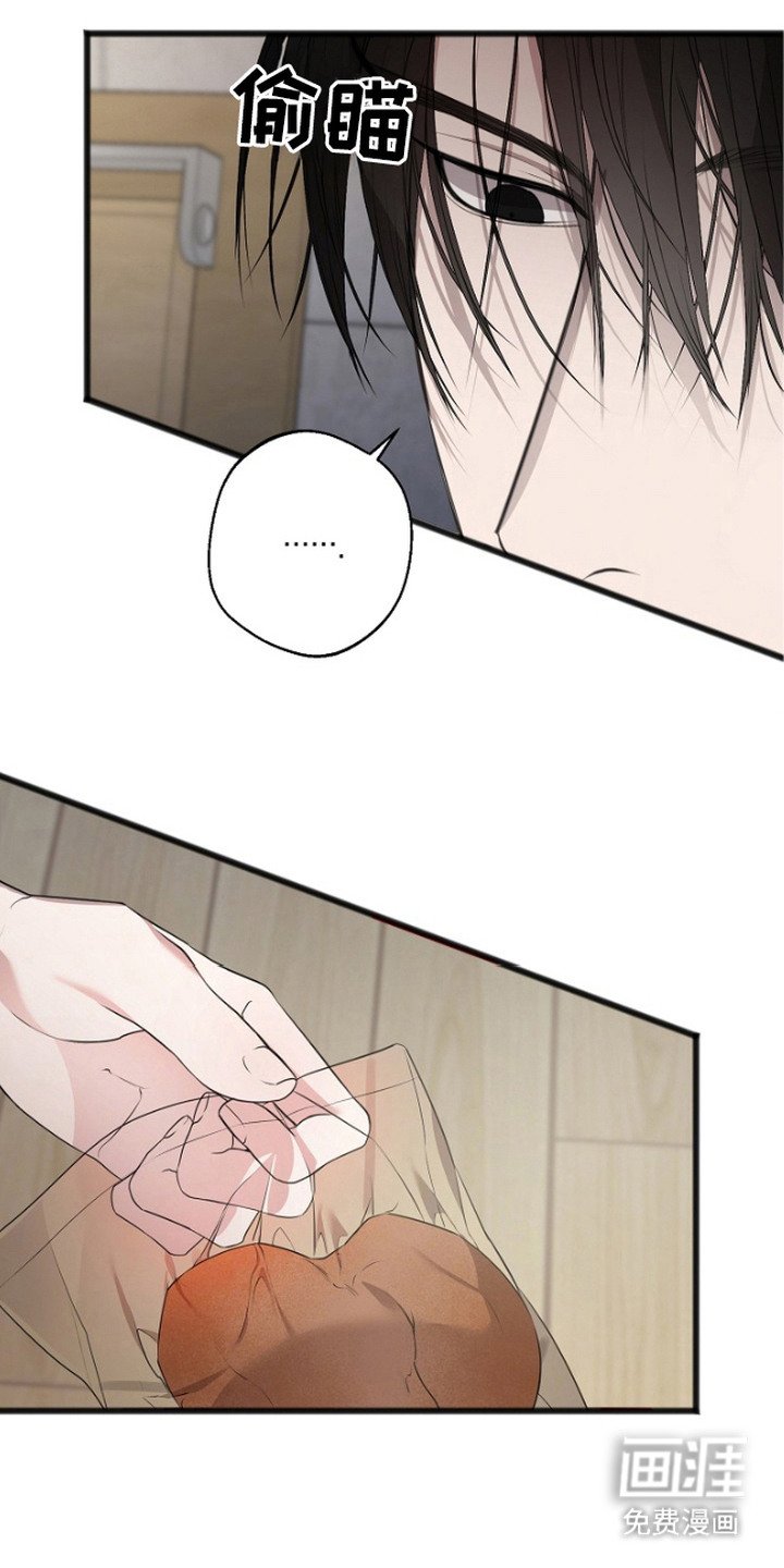 第5章：回想