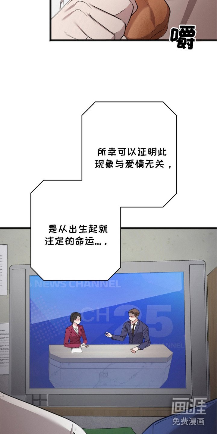 第5章：回想