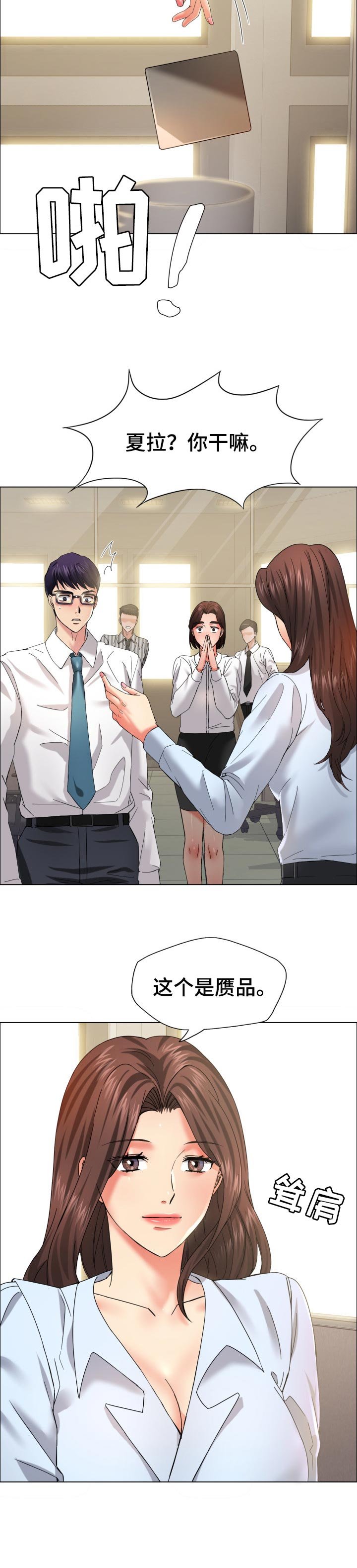 第64章：赝品