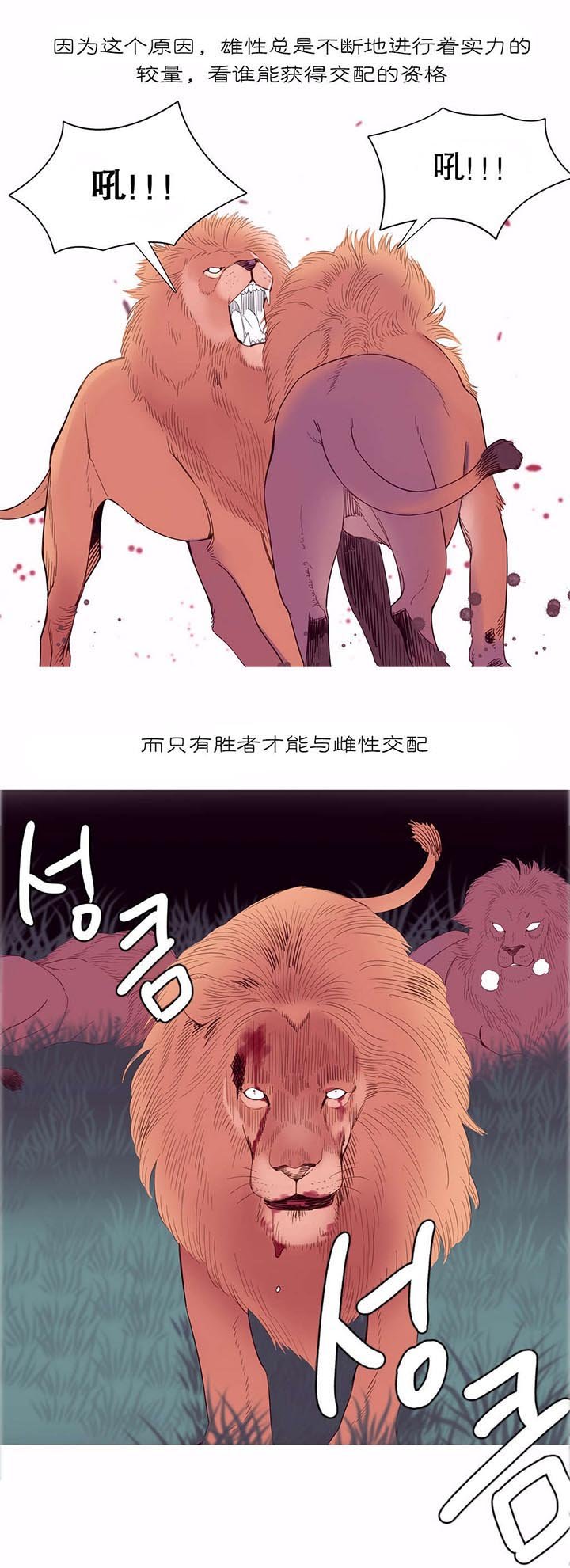 第10章：自由国度