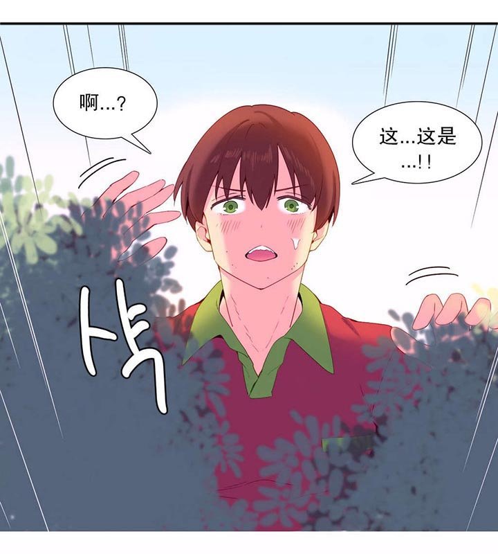 第12章：发现