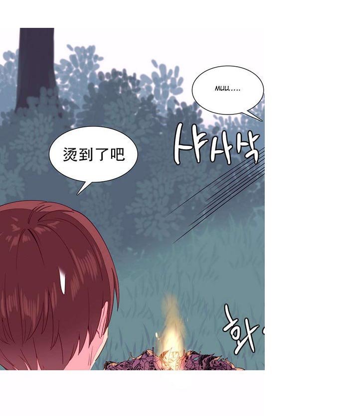 第13章：创造
