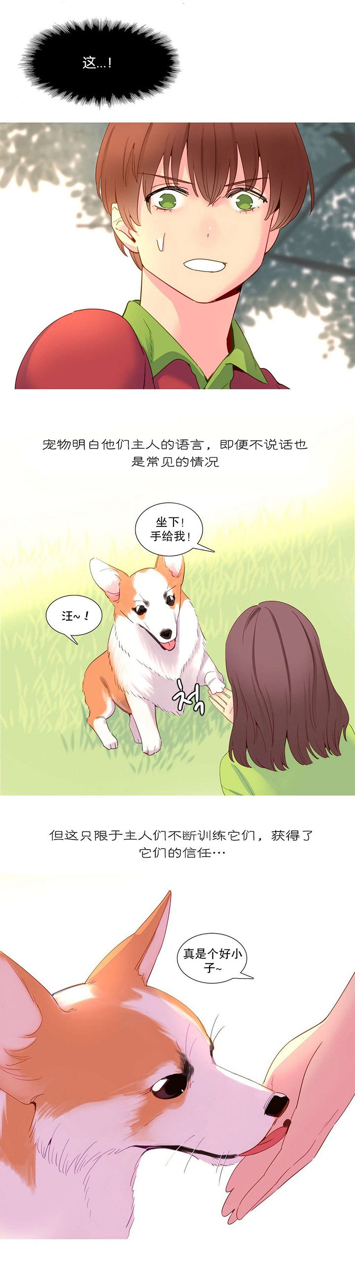 第15章：理解