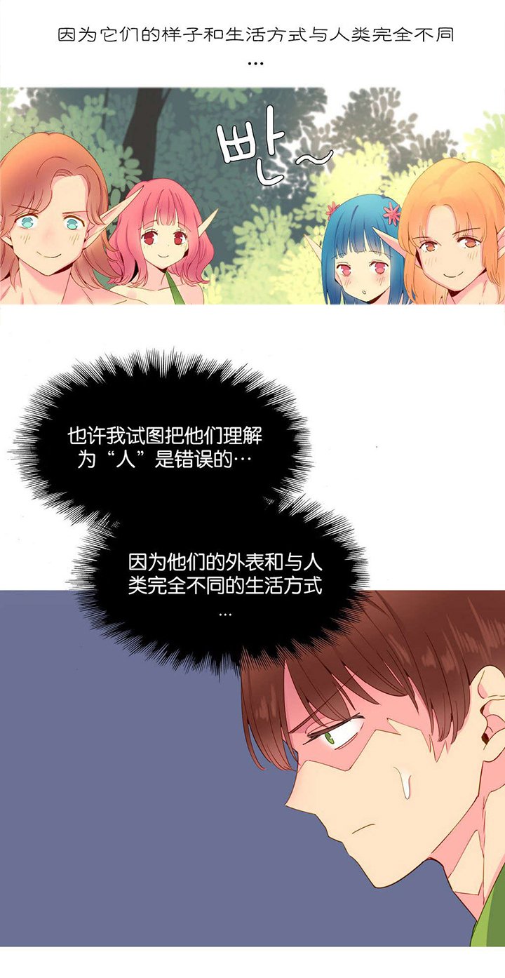 第15章：理解