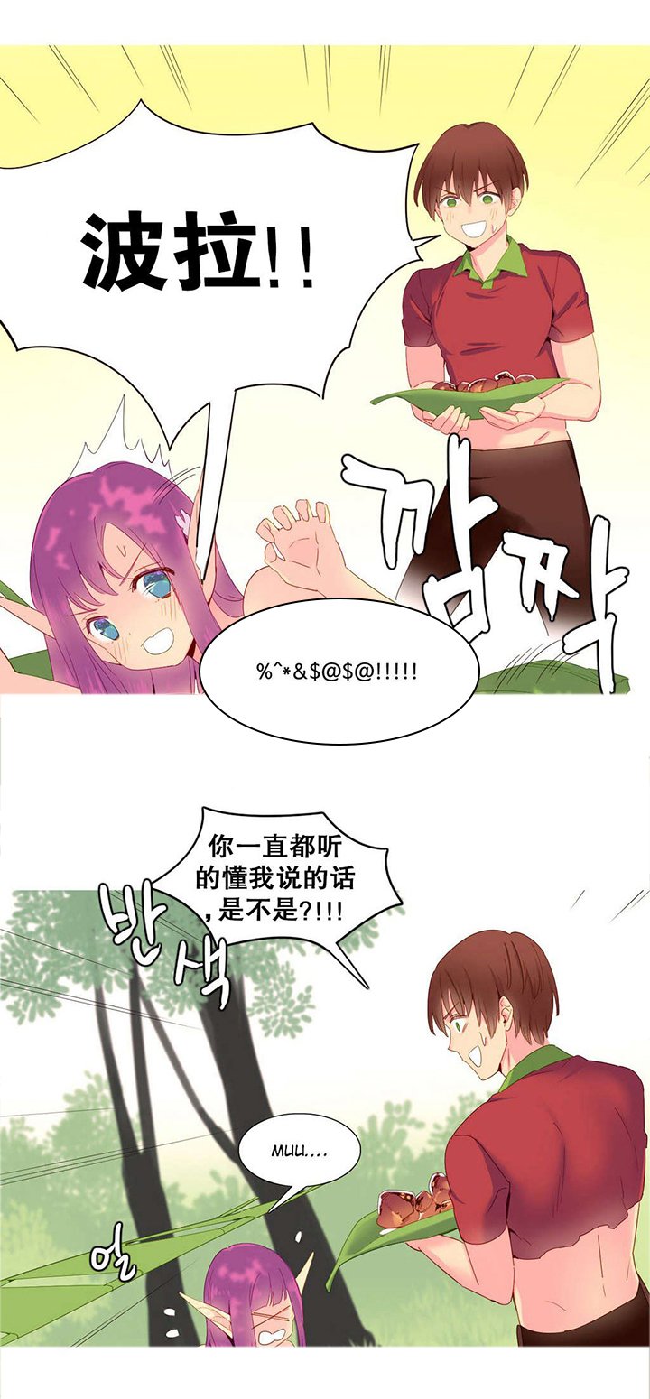 第15章：理解