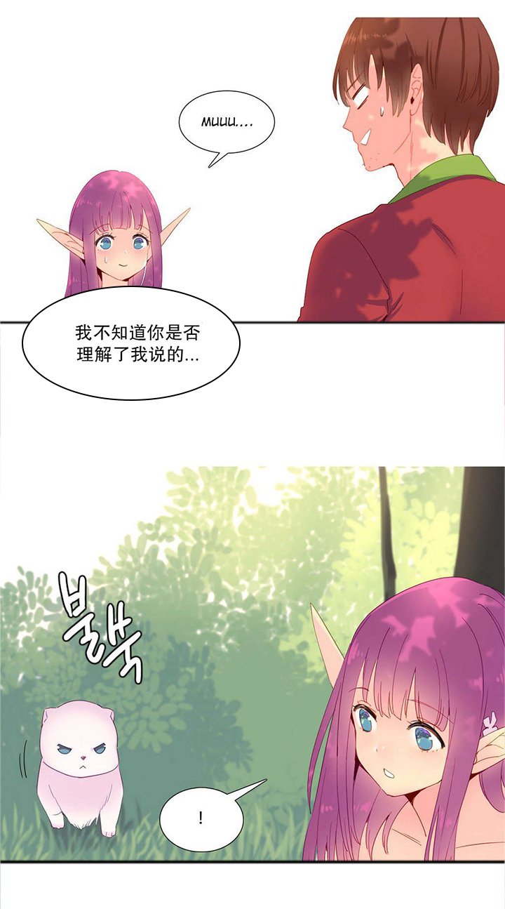 第15章：理解
