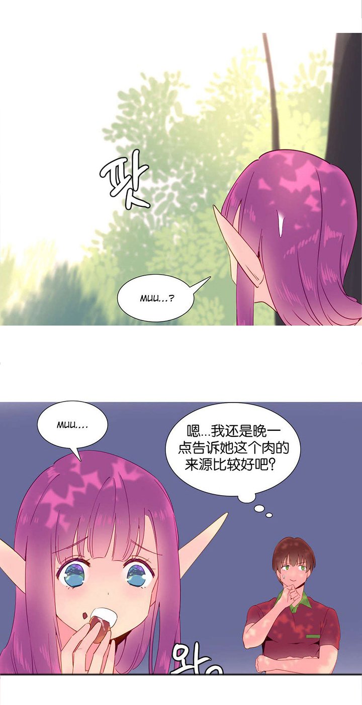 第15章：理解