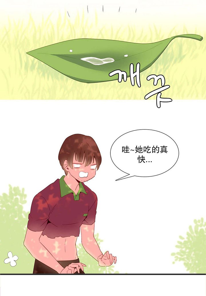 第15章：理解