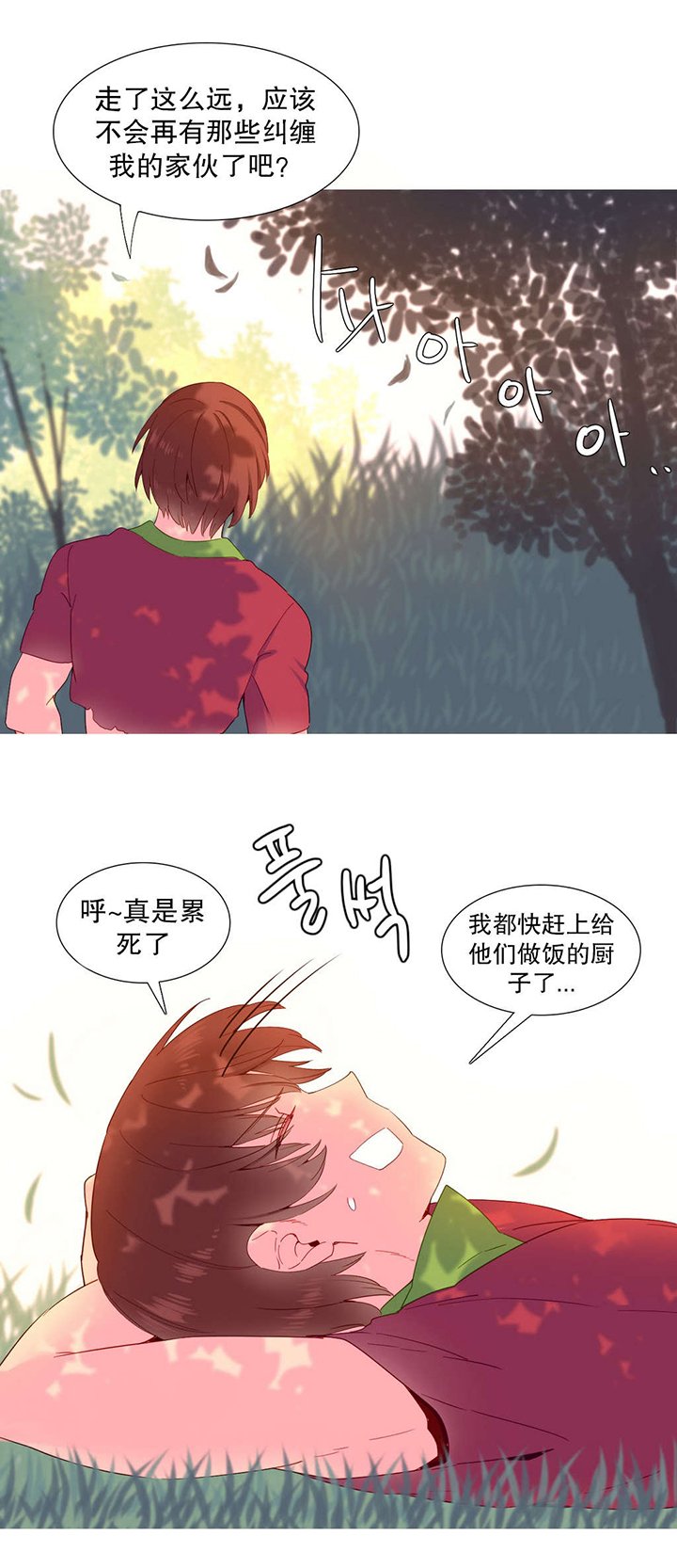第17章：意愿