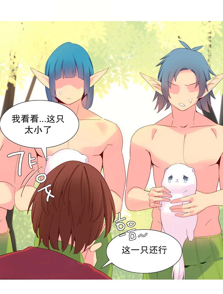 第18章：统治者