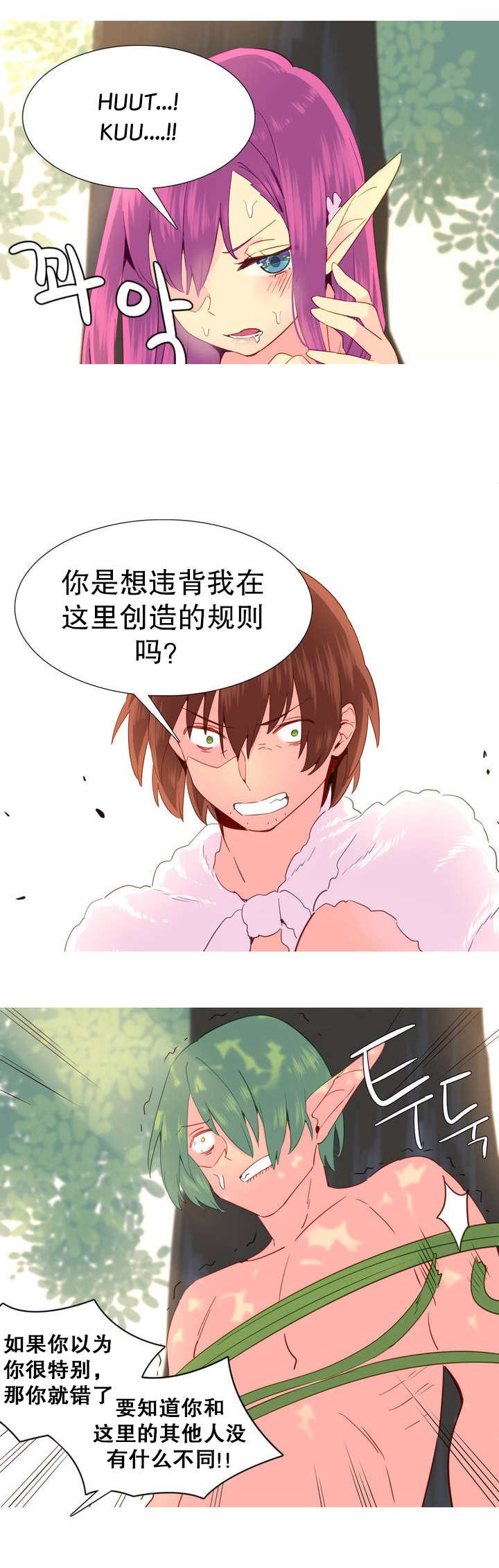 第21章：波拉之死