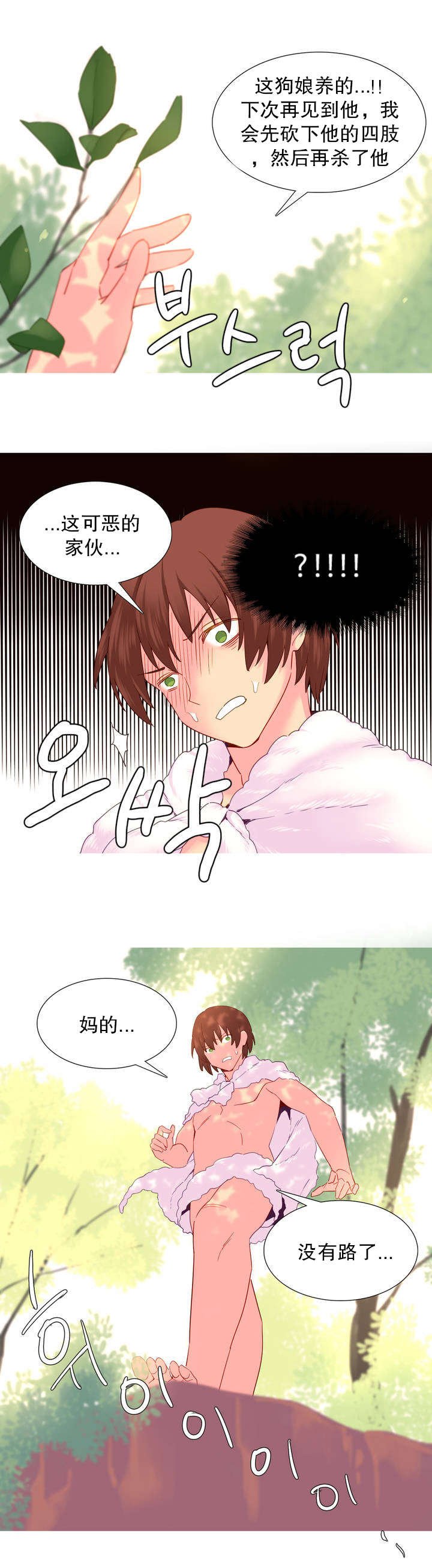 第21章：波拉之死