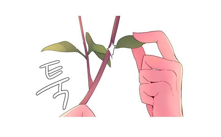 第24章：游戏