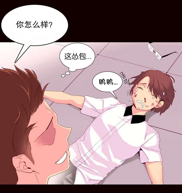 第26章：机会