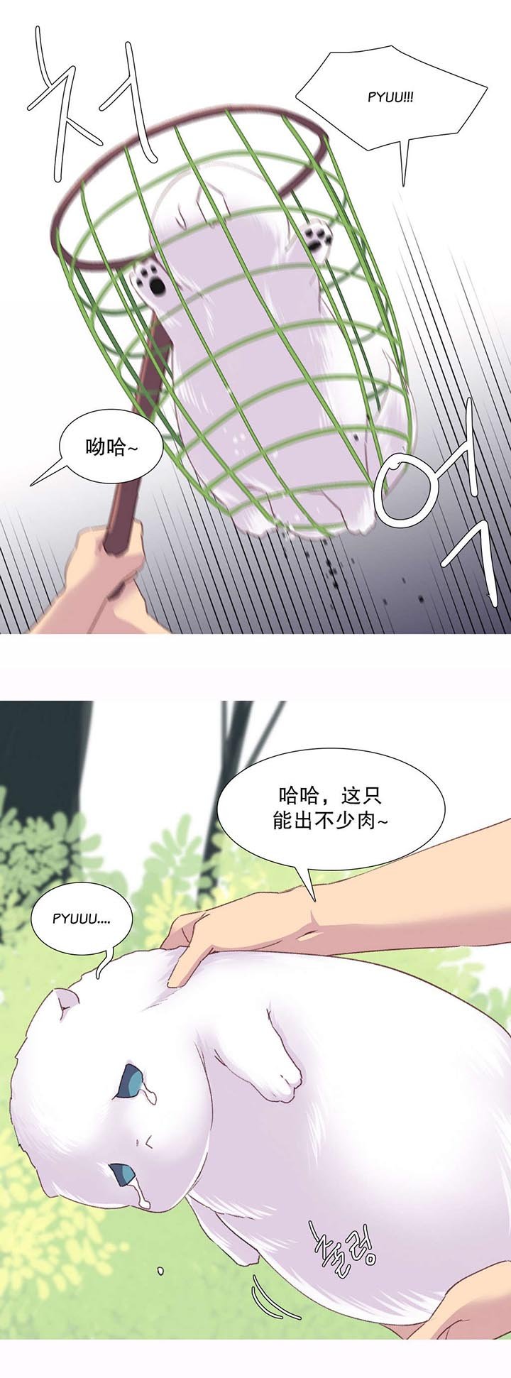 第29章：失败