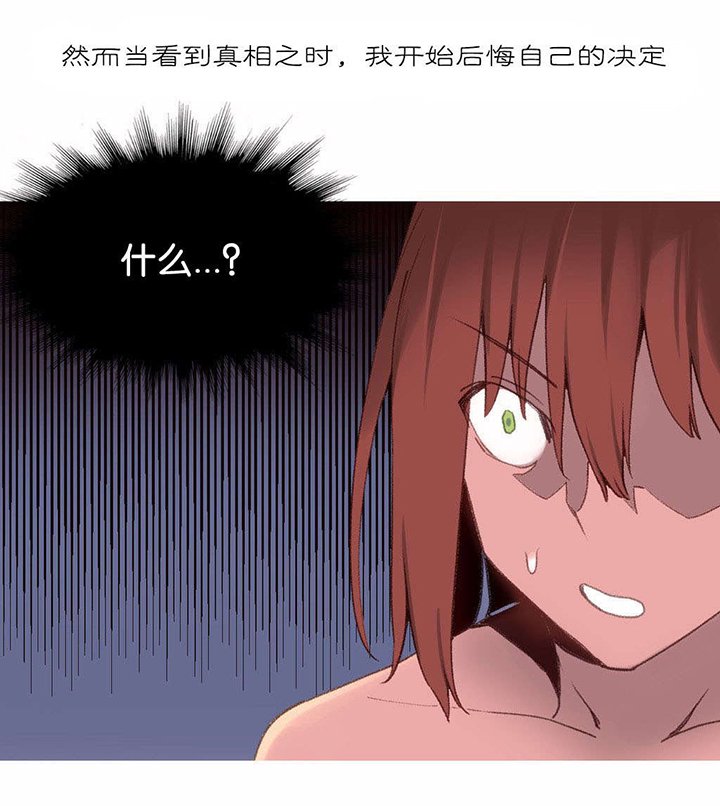 第33章：真相